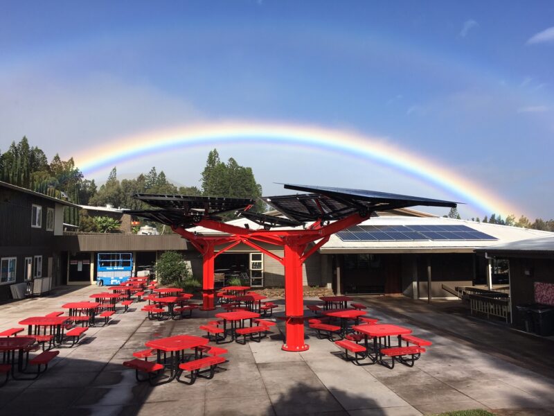 Solar Trees, custom designed for the school eating area with a rainbow in the background.