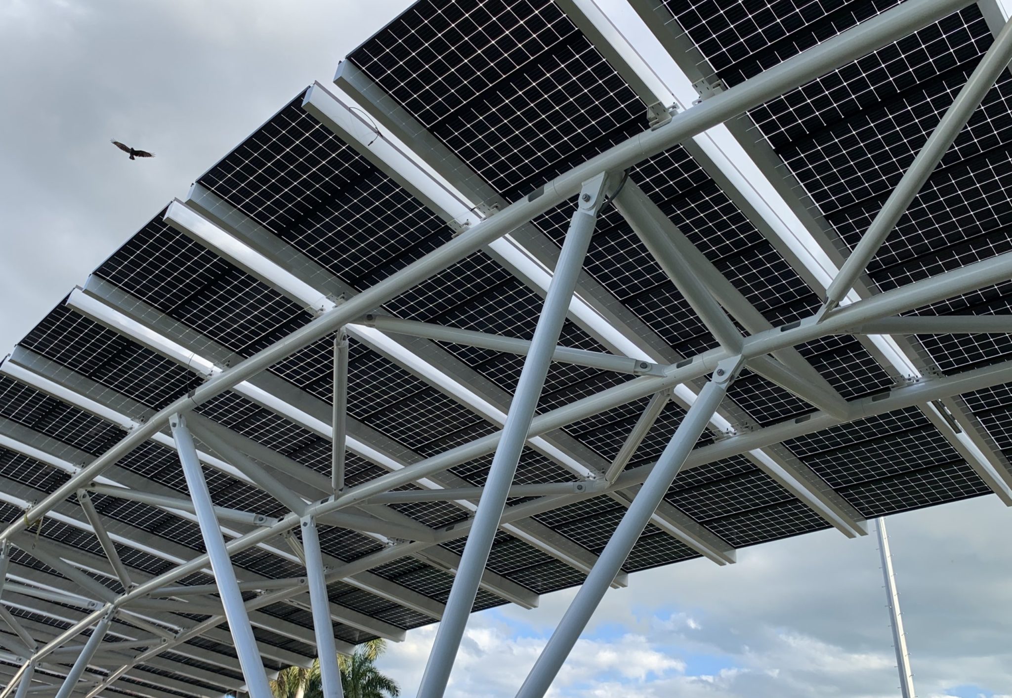 Elevated LSX Solarscape Curved Lumos Solar